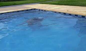 Imagem 6: Apartamento Condomínio Bela Cintra