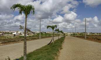 Imagem: Adquira seu chão no Loteamento Luar de