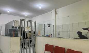 Imagem 5: Passo ponto Loja Petshop em São Caetano do Sul