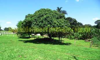 Imagem 7: Sítio 29,18 hectares, duas casas, formado, Prata Mg