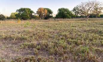 Imagem 4: Fazenda na região de Marianópolis/Divinópolis/Caseara/Abreulândia