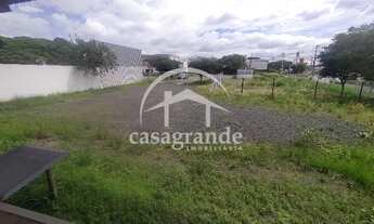 Imagem 3: Aluguel Barracão DISTRITO INDUSTRIAL