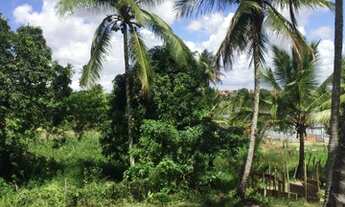 Imagem 2: Terreno Terreno / lote com venda por R$12.000