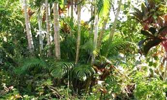 Imagem 4: Amplo terreno próximo da Praia do Ouvidor