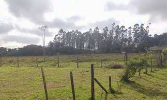 Imagem 7: Terreno no interior de Balneário Piçarras, com 1.300 m² no bairro Morretes