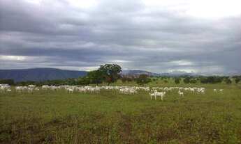 Imagem 7: Fazenda à venda, m² por R$ 110.000.000,00 - Zona Rural - Alvorada do Norte/GO