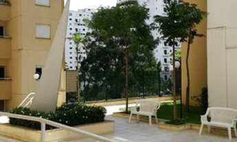 Imagem 7: APARTAMENTO - MORUMBI - SP