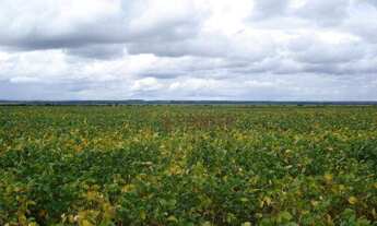 Imagem 2: Fazenda à venda, 2.461 hectares por R$ 25.650.000 - Zona Rural - Pedra Preta/MT