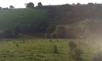 Imagem 7: COD:1542 Excelente sítio em Silvianópolis