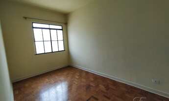 Imagem 5: SãO PAULO - Padrão - POMPÉIA