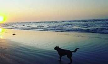 Imagem 2: Prédio/Edifício inteiro para venda com 1200 metros quadrados