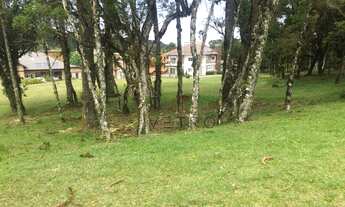 Imagem 7: Terreno no Condomínio Altos Pinheiros em Canela