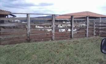 Imagem 13: Fazenda à venda, m² por R$ 110.000.000,00 - Zona Rural - Alvorada do Norte/GO