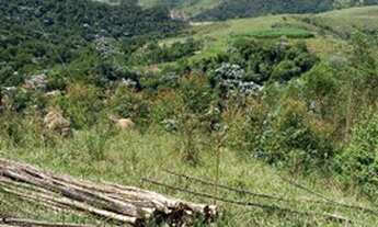 Imagem 2: Igaratá-sp lotes com acesso a represa pgto parcelado adquira o seu