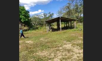 Imagem 7: Fazenda 1500 alqueires 150 km de Palmas Tocantins