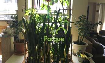 Imagem 7: Apartamento com 4 dormitórios à venda, 253 m² por R$ 2.200.000,00 - Aclimação - São Paulo