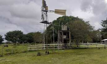 Imagem 5: Fazenda à venda em salvaterra com 1.000 hectares, documentada, Pará