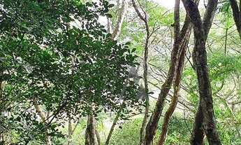 Imagem: Terreno à venda, 25426 m² por R$ 1.500.000,00