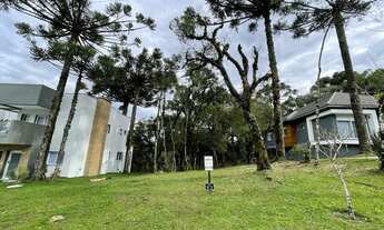 Imagem 1: VENHA MORAR NO ALTOS PINHEIROS