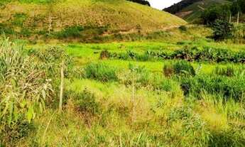 Imagem 2: M- Fazenda em Laranja da Terra 7,5 alqueires