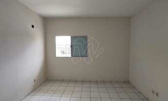 Imagem 6: Locação de Casas / Padrão na cidade de Araraquara