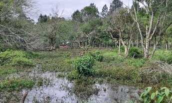 Imagem 3: Sítio de 4000m² com açude e bem arborizado em Águas Claras