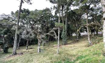 Imagem 3: VENHA MORAR NO ALTOS PINHEIROS