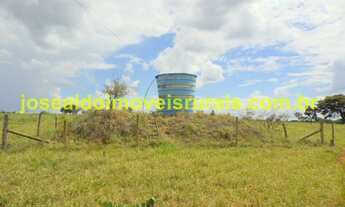 Imagem 3: Granja de Frangos funcionando, 25 km Monte Alegre de Minas MG