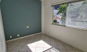 Imagem 6: LARANJEIRAS VERDE