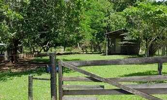Imagem: Chácara na região do cinquentinha 15 km