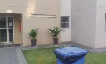 Imagem 2: Alugo apartamento novo Brito 2