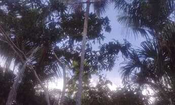 Imagem 2: Sítio excelente