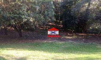 Imagem 3: Terreno à venda, 2400 m² por R$ 600.000,00 - Jardim Maria Trindade - São Roque/SP