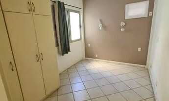 Imagem 3: LARANJEIRAS VERDE