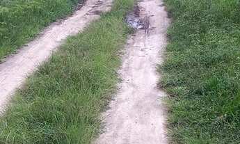 Imagem 6: Terreno plano de 420 m2 no Vale das Flores, Visconde de Mauá - RJ