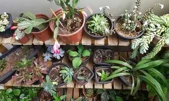 Imagem 3: APARTAMENTO 3 QTS COM SUIT DE ELEVADOR EM GAIVOTAS SOL DA MANHA A 4 QDS DA PRAIA ES