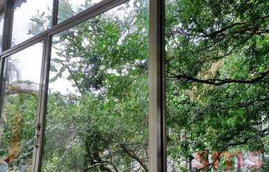 Imagem 5: No verde do Jardim Botânico, com estilo e rara economia