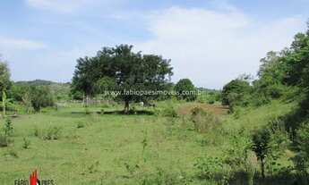 Imagem 7: Imobiliária Fabio Paes - Sítio a venda BEIRA RIO com 4 alq (19.36 ha) planos