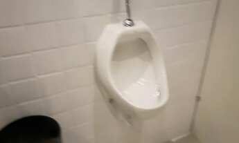 Imagem 4: Ponto comercial/Loja/Box para aluguel tem 420 metros quadrados em Vila Marieta - São Paulo