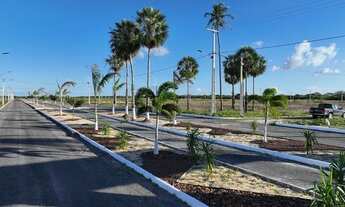 Imagem 2: Lotes Em Jijoca-Jeri, 10X25, Parcelas De R$ 288. : Hebreus 10:39