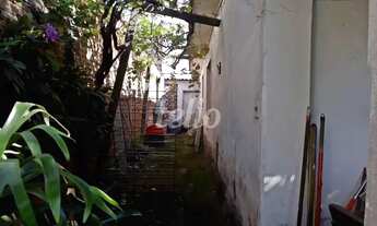 Imagem 3: São Paulo - Terreno Padrão - Santana