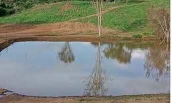 Imagem: 1,79 alqueires - Bela Vista