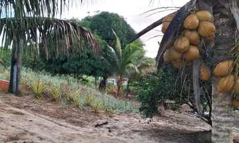 Imagem: Vendo maravilhoso sítio em alagoinhas