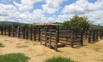 Imagem 2: Fazenda no Km 100
