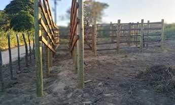 Imagem 5: Vendo maravilhoso sítio em alagoinhas