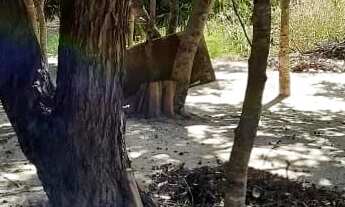 Imagem 5: Casa aruana go Fazenda / sítio com venda por R$500.000