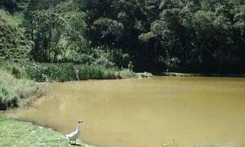 Imagem 7: Sítio com 4 dormitórios à venda, 150.000m² - Agudos - Bragança Paulista/SP