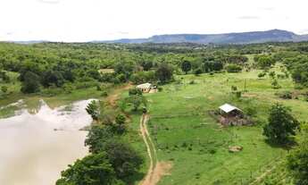 Imagem 3: Fazenda a venda em Goiás Velho - GO