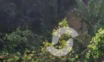 Imagem 5: Terreno à venda, 516 m² por R$ 150.000,00 - Várzea das Moças - Niterói/RJ