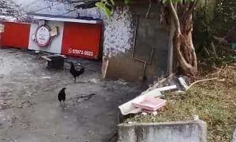 Imagem: Terreno em Vila Pereira Barreto - São Paulo